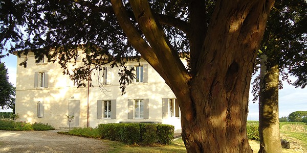 <span>Château </span>Virginie de Valandraud